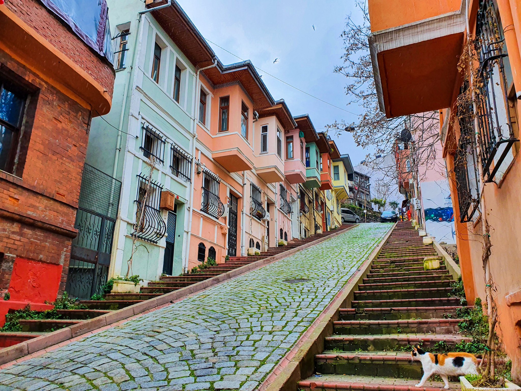 A stepped lane in Balat lined with coloured houses, the street climbing between them