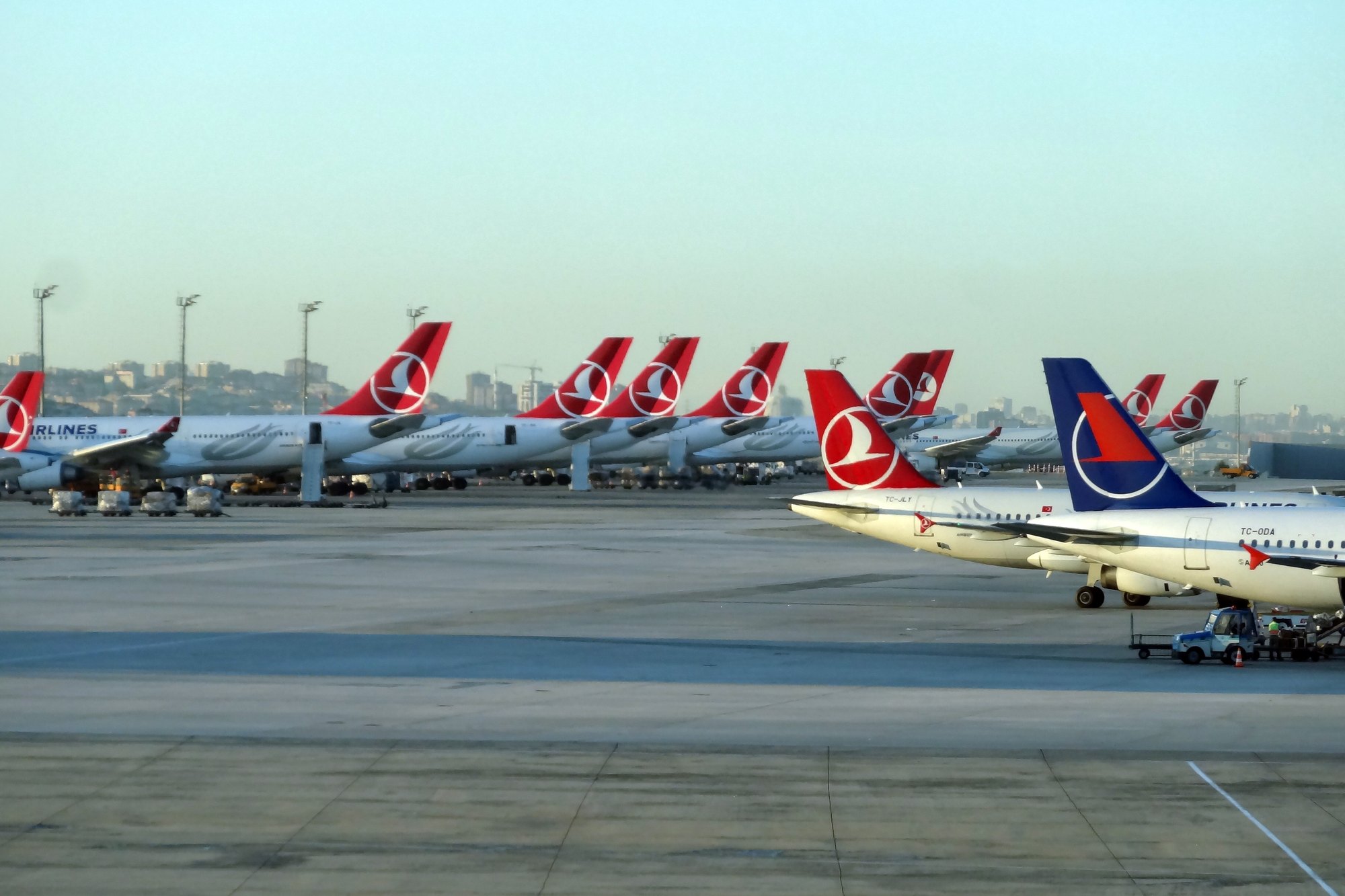 A line of Turkish Airlines tails on the apron at Istanbul Airport in flat evening light