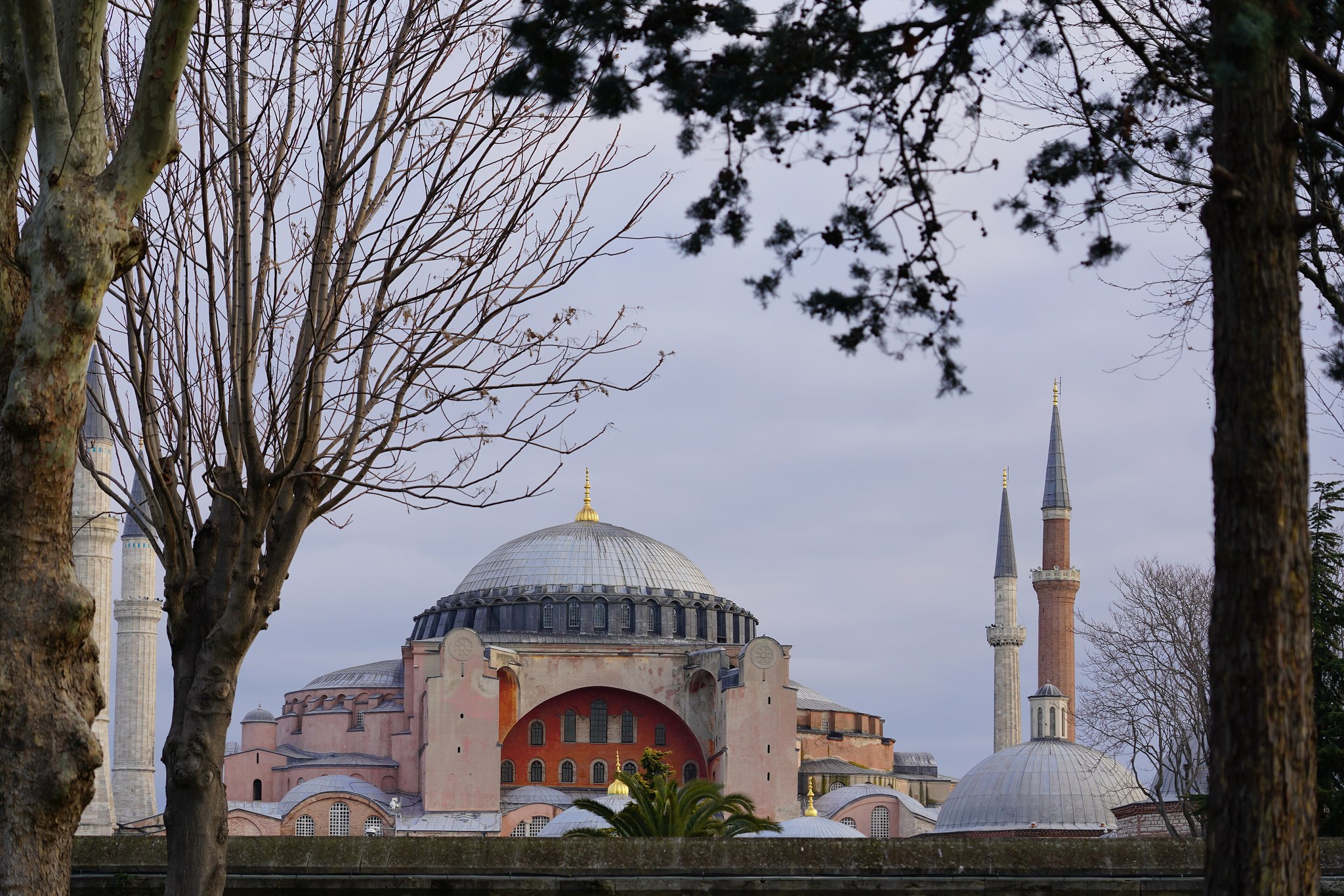 Hagia Sophia framed between bare plane trees at dusk, its dome and minarets catching the last light